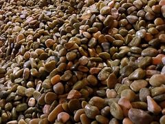 -汤森悠生活文化汤(江宁万达店)