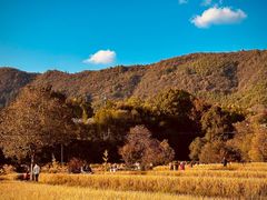-塔川景区