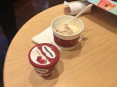 -哈根达斯(西安北郊店)