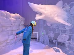 -世界之窗阿尔卑斯冰雪世界