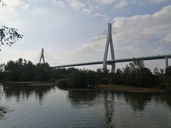 -芒洲湿地公园