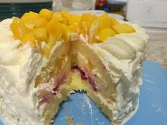 -维尔纳斯·生日蛋糕·动物奶油冰淇淋蛋糕(六里桥店)