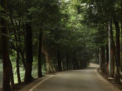 -西南交通大学(峨眉校区)