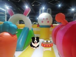 点击看大图 -反弹蹦床公园·亲子乐园·团建·派对(青岛融创茂店)
