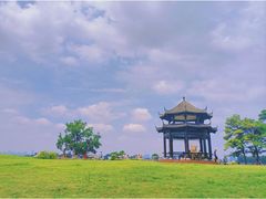 -东湖落雁景区