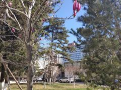-北京化工大学(东校区)