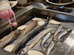 -巴麦隆自助烤肉(桂林路店)