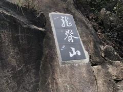 -南山植物园