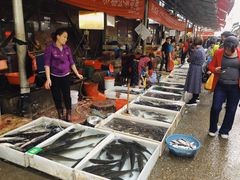 -树木岭集贸市场(劳动东路)