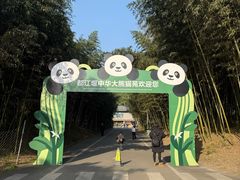 -都江堰中华大熊猫苑