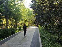 -迎泽公园