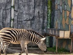 -贵州森林野生动物园