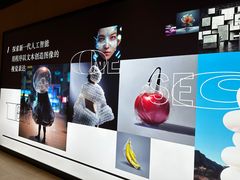 -东方体育中心(地铁站)