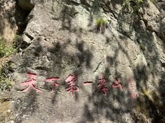 -王顺山国家森林公园