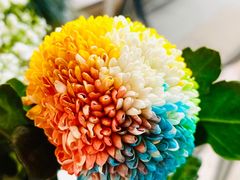 -PAUL LAFAYET 法式甜品(港汇广场店)