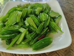 -晓雯人家