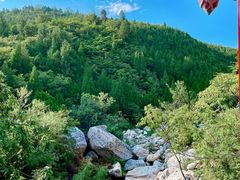 -禅宗少林·音乐大典