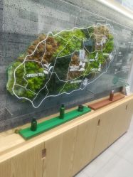 -悦诗风吟innisfree