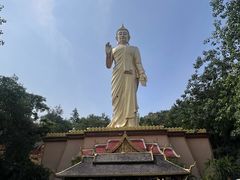 -西双版纳勐泐文化旅游区