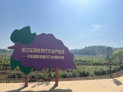 -北京张裕爱斐堡酒庄