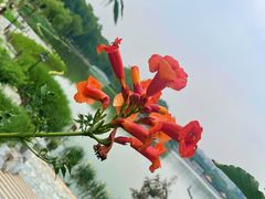 -陶然亭公园