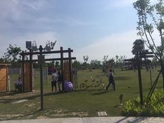 -上海长兴岛郊野公园