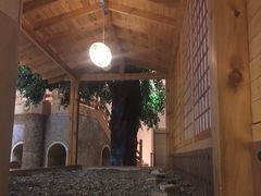 -汤森悠生活文化汤(江宁万达店)
