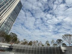 -深圳湾万象城(南山店)