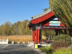 -西海子公园