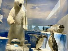 -国家自然博物馆