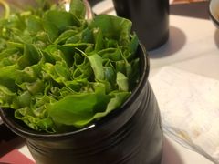 油麦菜-刘一锅筋头巴脑(大悦城C店)