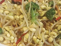 -十二毡房蒙餐·蒙古包