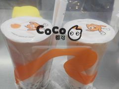 -CoCo都可(文星广场店)