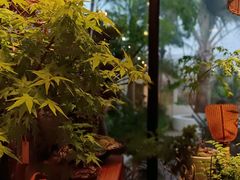 -自由生长植物工作室(深港花卉中心店)