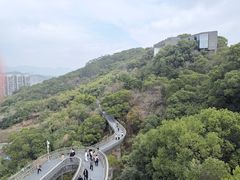 -福道