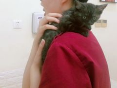 -美联众合动物医院·24h京西诊疗中心