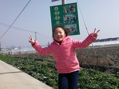 -小鱼草莓采摘园农家乐·小鱼餐厅