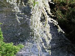 -中国茶叶博物馆(双峰馆区)