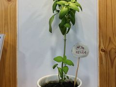 店内布置-呷贺盐酥鸡(抄纸巷店)