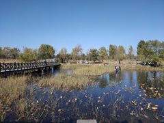 -野鸭湖国家湿地公园