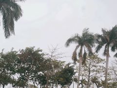 -广州白云国际机场-T2航站楼