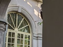 -广州近代史博物馆