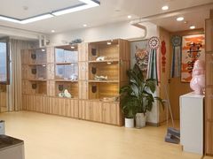 -猫十亿·布偶金渐层·曼基康矮脚猫舍(青年路店)