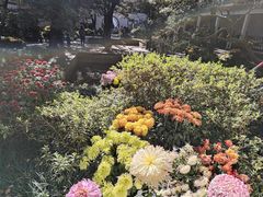 -杭州植物园