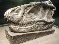 -自贡恐龙博物馆