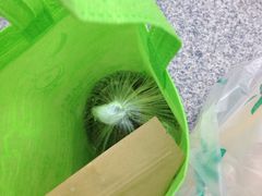 -志龙皇冠吃货椰子铺