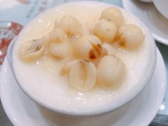 冻莲子双皮炖奶-义顺牛奶公司(新马路老店)