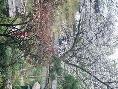 -乾园.魏庐湖景餐厅(花港店)