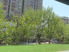 -沈灶河豚宴·河豚融合餐厅(汉中路店)