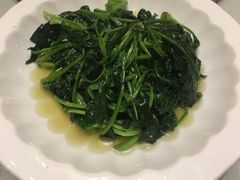 清炒菠菜-得月楼·省级非遗·传统苏帮菜(观前店)